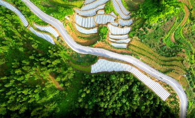 邵陽市:隆回&ldquo;四好農村路&rdquo;協(xié)奏&ldquo;鄉(xiāng)村振興曲&rdquo;