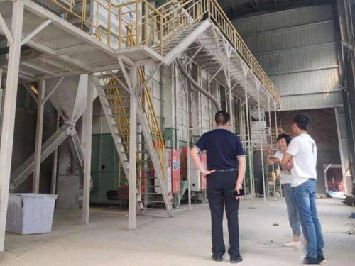 隆平數科助力 邵陽紅 品牌發展壯大